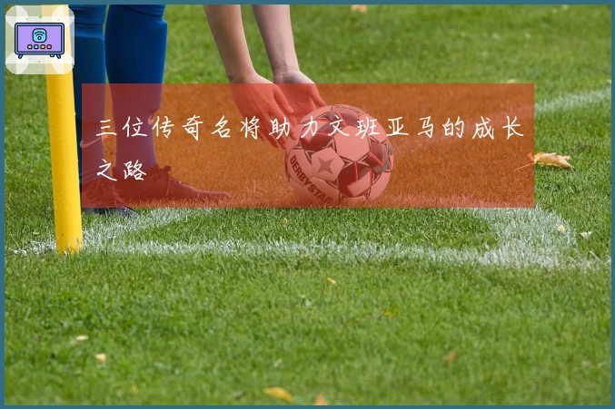 三位传奇名将助力文班亚马的成长之路